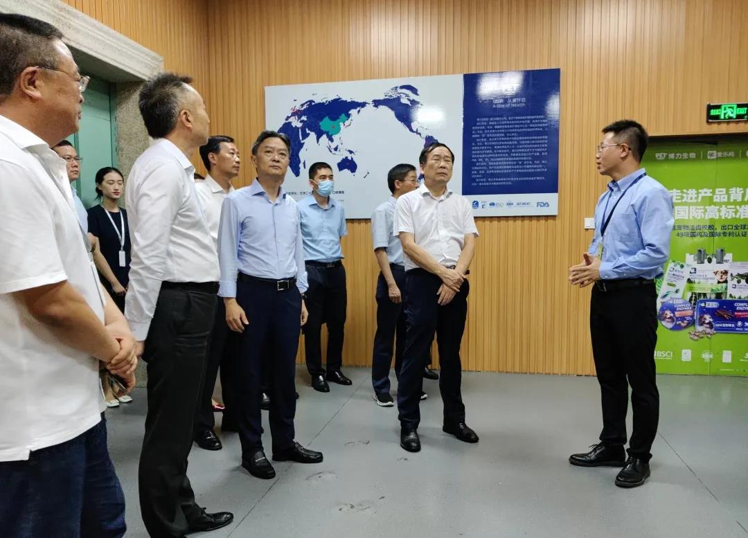 DB多宝电竞通用行业大宗贸易综合服务网页标准配置