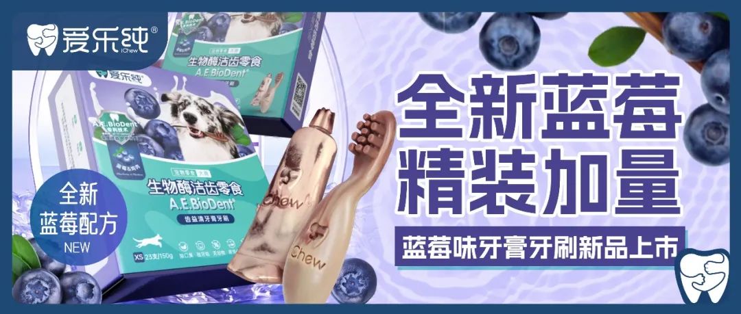 DB多宝电竞全站标准网络访问地址与节点安全配置