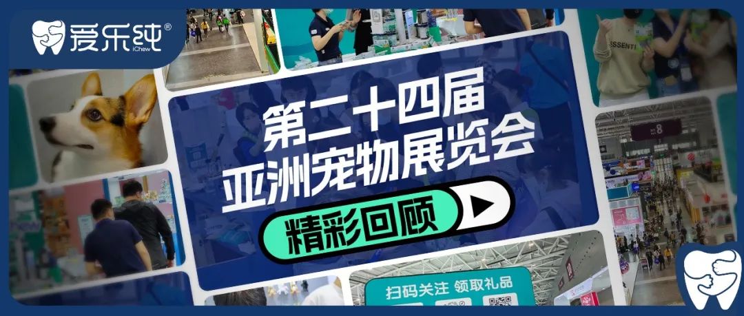 DB多宝电竞全站经销商管理平台注册与资质审核入口